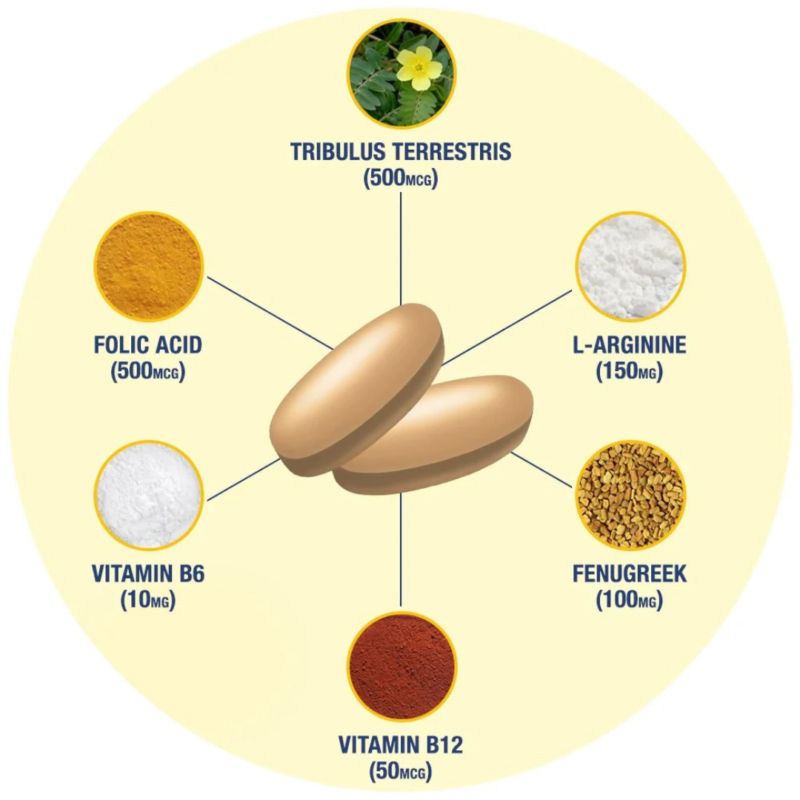 Testrol Gold Es 60 Tablets By Gat Sports - Image 6