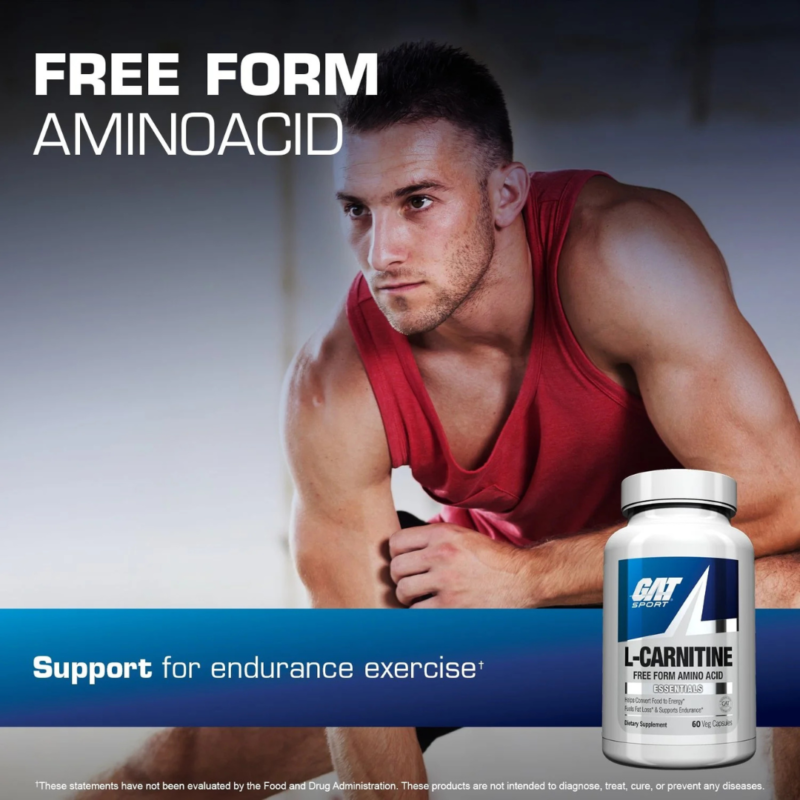 L-Carnitine 60 Capsules By Gat Sport - Image 4