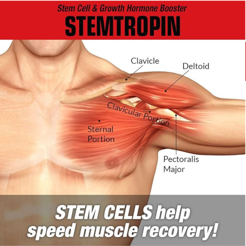 Stemtropin 60 Capsules By MuscleMeds - Image 3